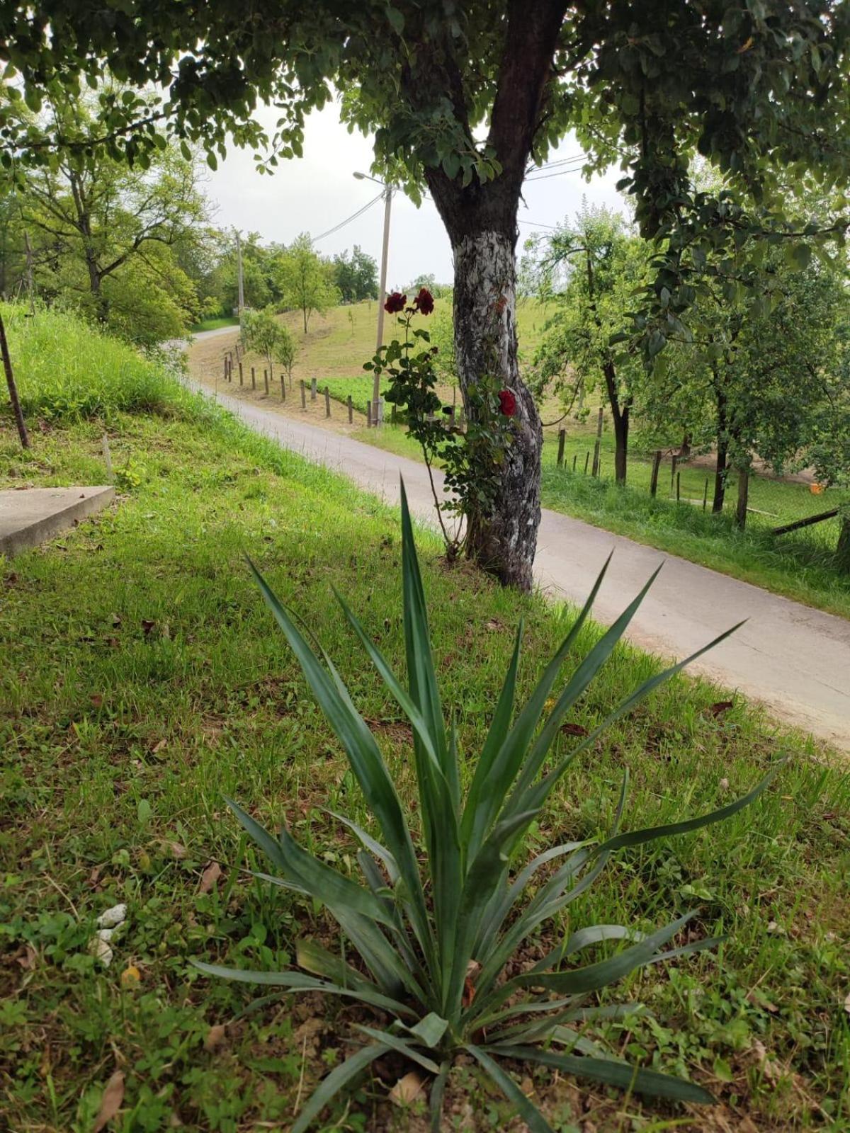 Apartman-Vikendica Mihajlovic Banja Luka Esterno foto